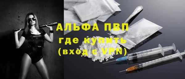 гашик Инсар