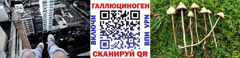 как найти наркотики  Лебедянь  Псилоцибиновые грибы Magic Shrooms 